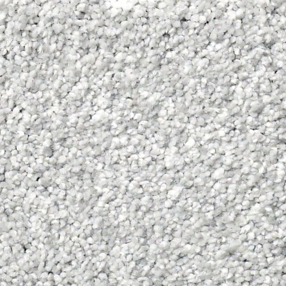 Shaw Find Your Comfort TT I Carpet in Bay Waves