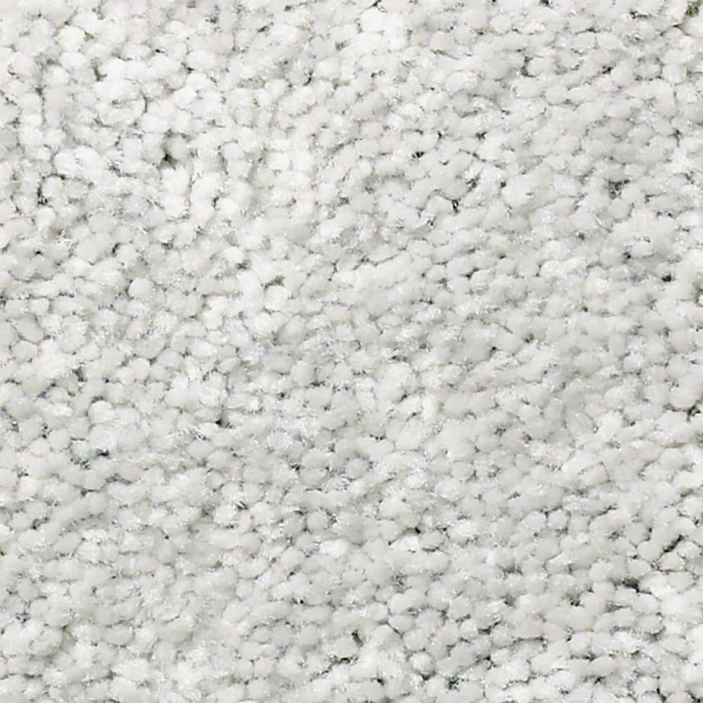 Shaw Simply the Best Cabana Life Solid Carpet in Ice