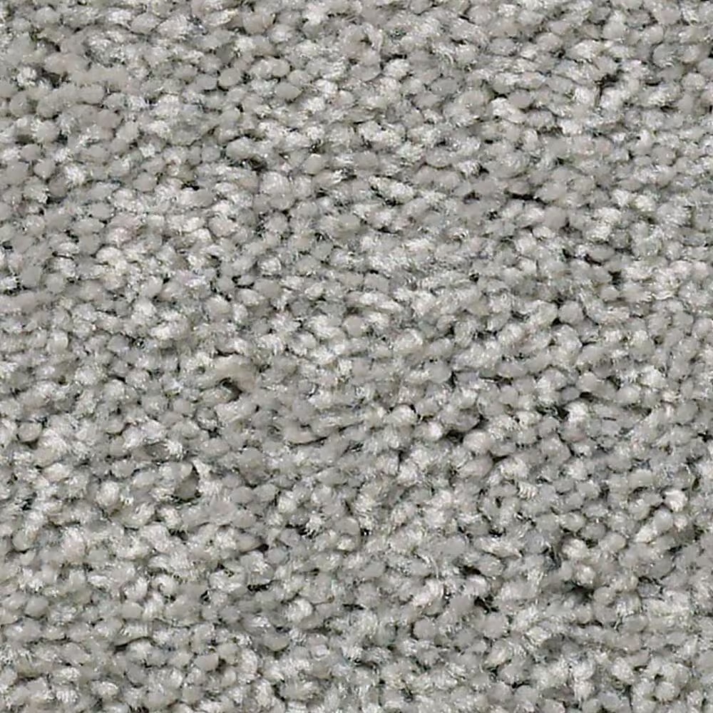 Shaw Simply the Best Cabana Life Solid Carpet in Dolphin