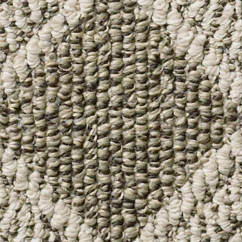 Anderson Tuftex Scout Carpet in Desert Palm