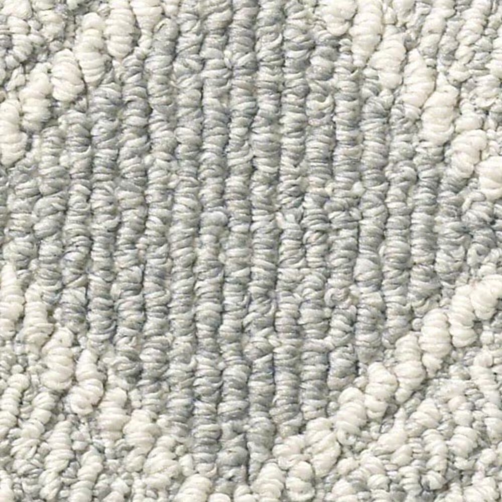 Anderson Tuftex Scout Carpet in Oxford