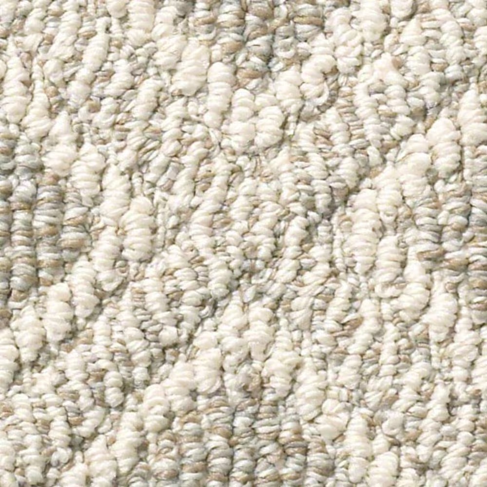 Anderson Tuftex Scout Carpet in Briarwood