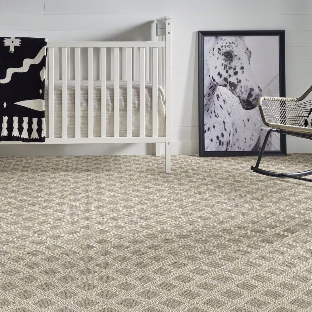 37487-anderson-tuftex-scout-carpet-in-briarwood-1.jpg