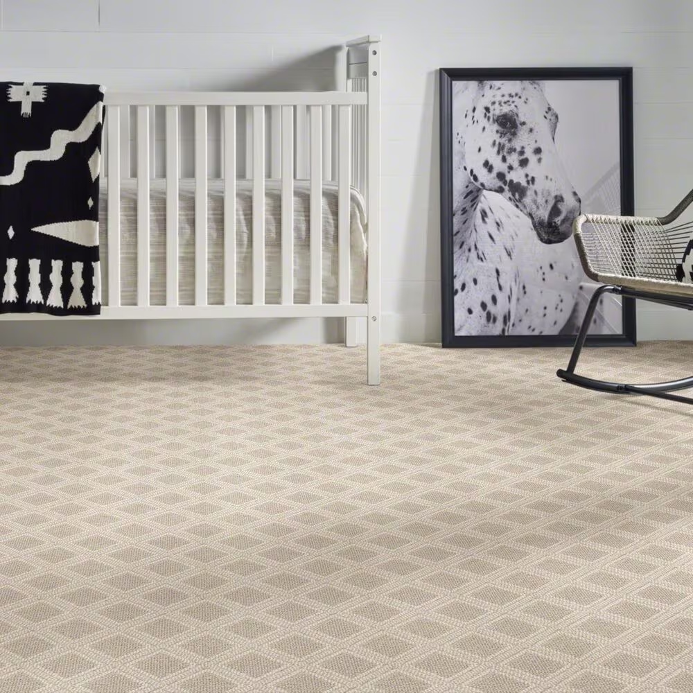 37500-anderson-tuftex-scout-carpet-in-birch-1.jpg