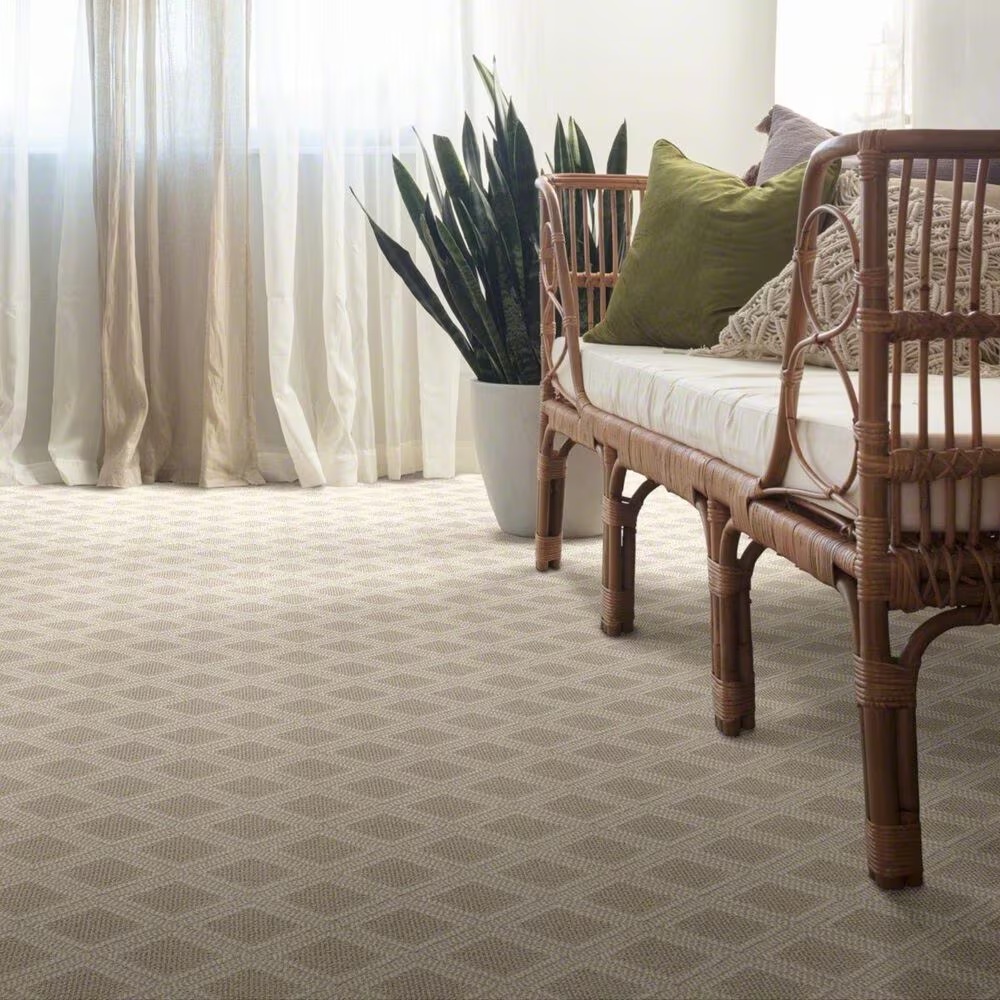 37500-anderson-tuftex-scout-carpet-in-birch-1.jpg
