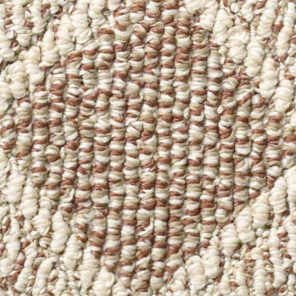 Anderson Tuftex Scout Carpet in Russet