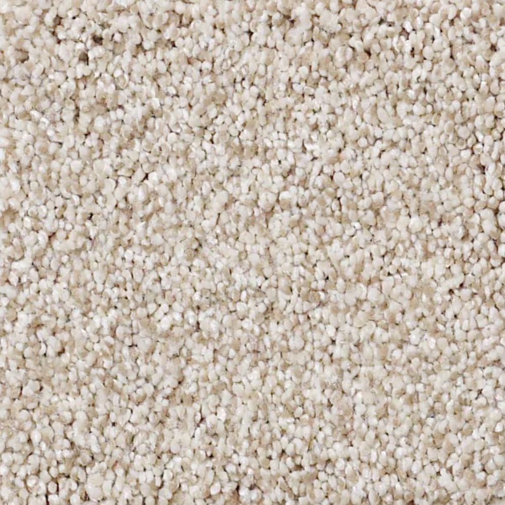 Shaw Foundations Take The Floor Tonal I Carpet in Fantasy