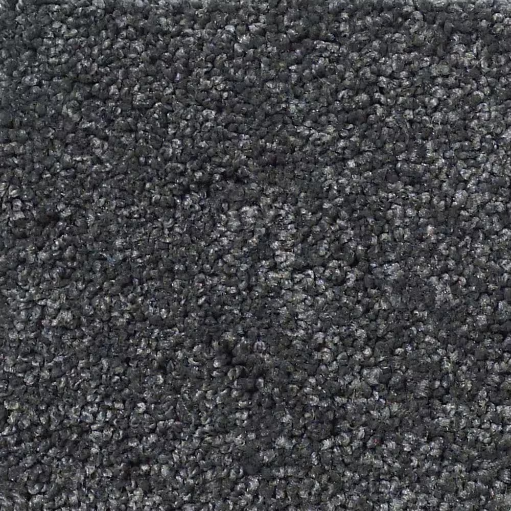 Shaw Foundations Take The Floor Texture Blue Carpet in Urban Studio