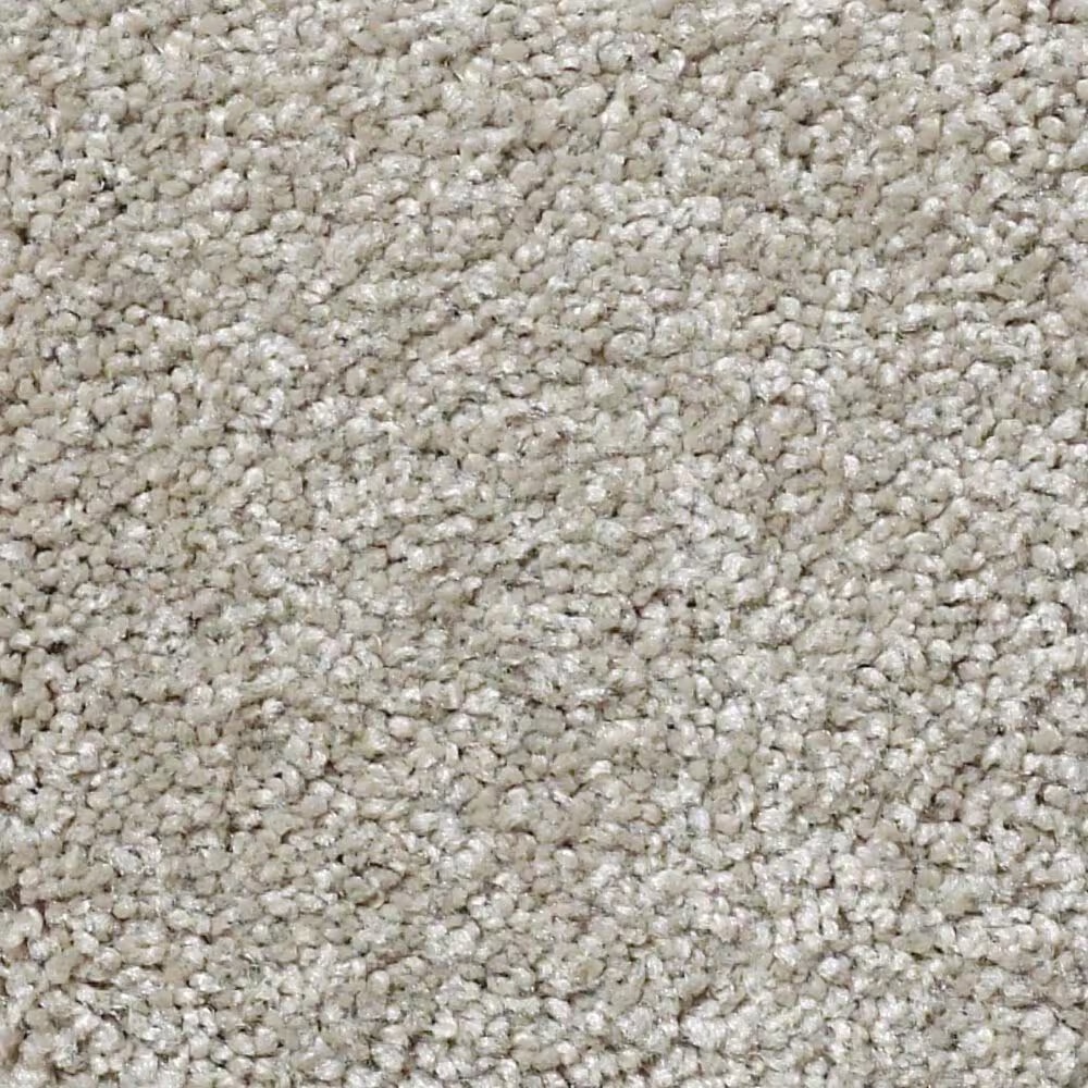 Shaw Foundations Take The Floor Texture Blue Carpet in Threshold