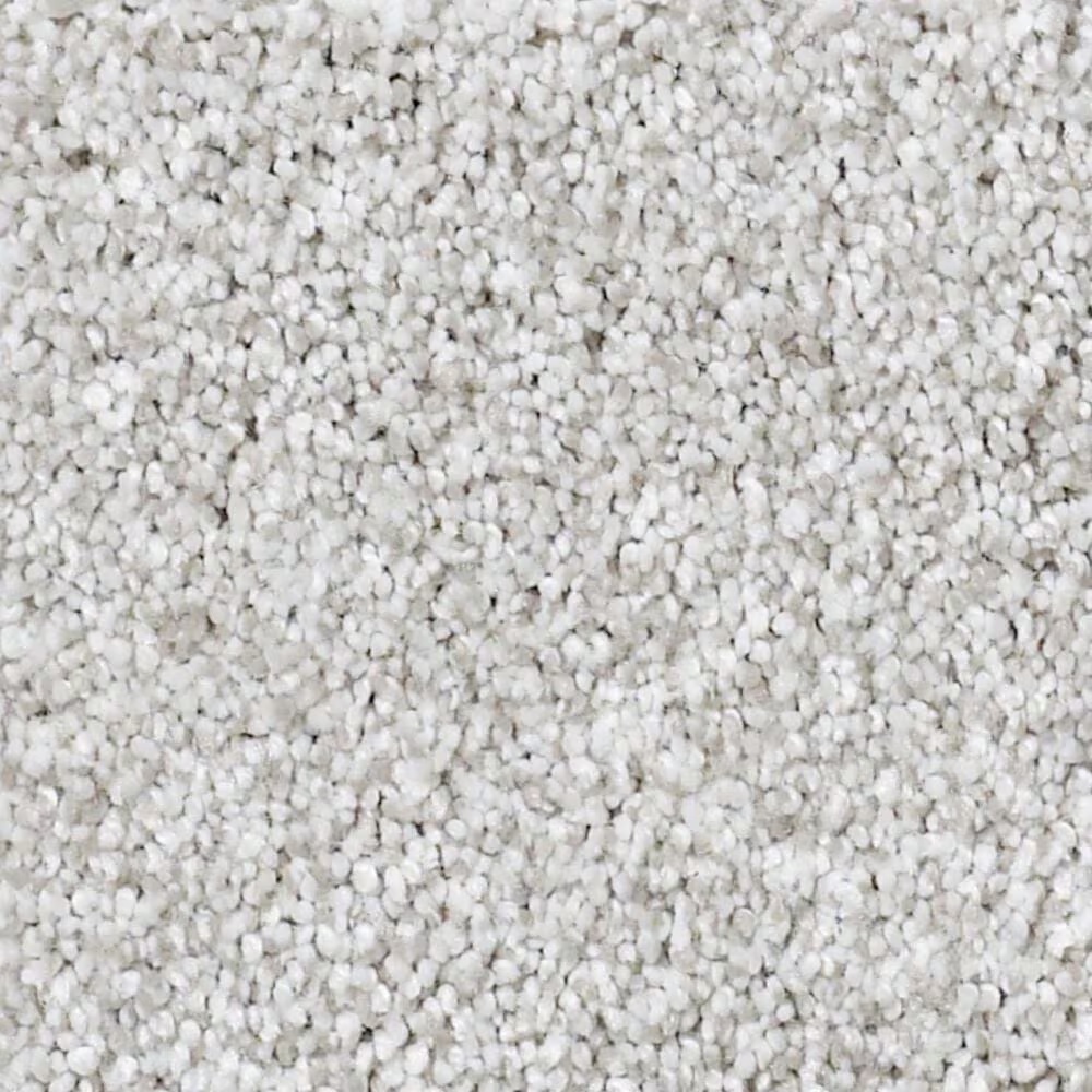 Shaw Foundations Take The Floor Tonal I Carpet in Classique