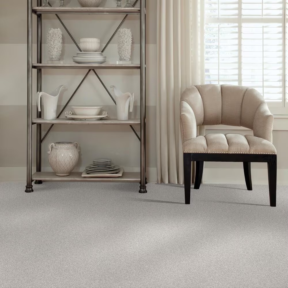 37557-shaw-foundations-take-the-floor-tonal-i-carpet-in-classique-1.jpg