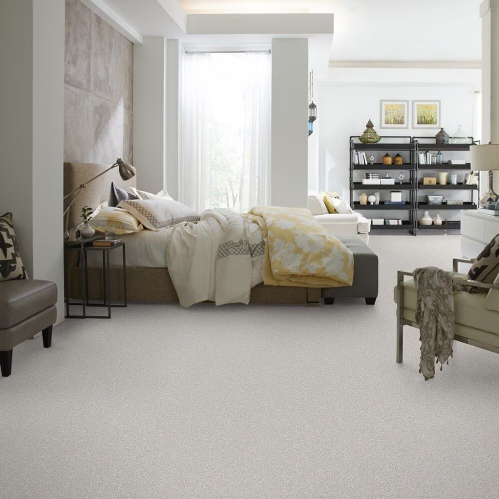 37557-shaw-foundations-take-the-floor-tonal-i-carpet-in-classique-1.jpg