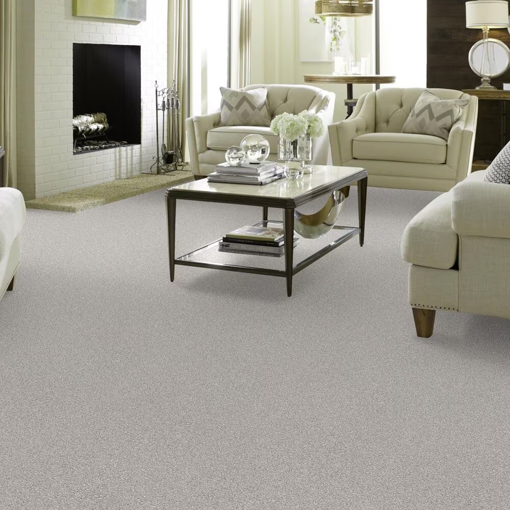 37557-shaw-foundations-take-the-floor-tonal-i-carpet-in-classique-1.jpg