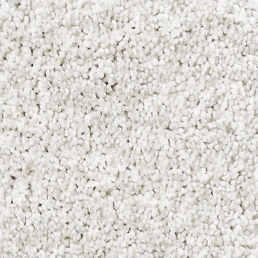 Shaw Foundations Take The Floor Tonal I Carpet in Orion