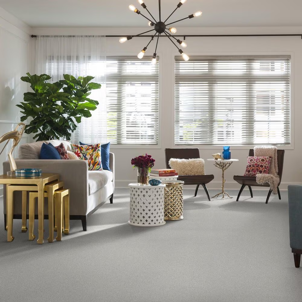 37559-shaw-foundations-take-the-floor-tonal-i-carpet-in-orion-1.jpg