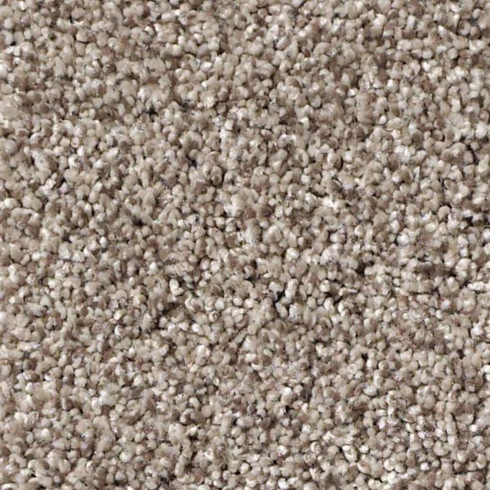 Shaw Foundations Take The Floor Tonal I Carpet in Triumph