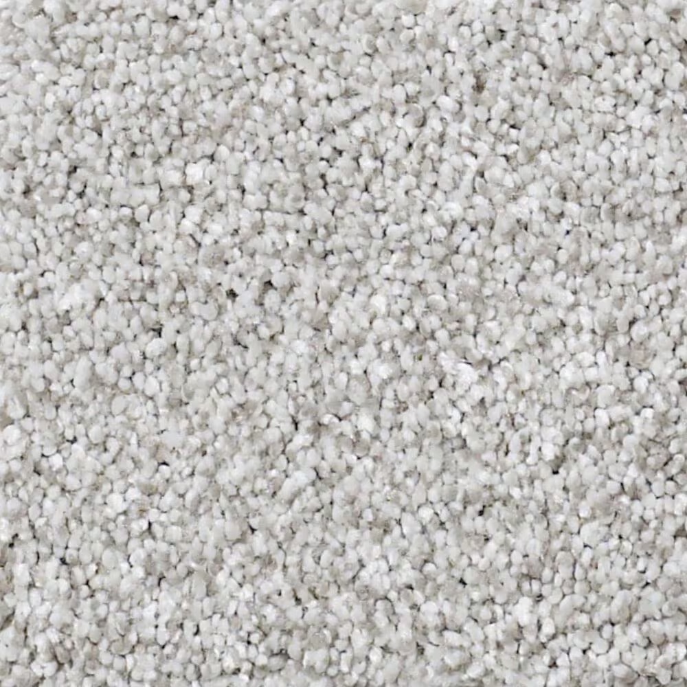 Shaw Foundations Take The Floor Tonal I Carpet in Mystic