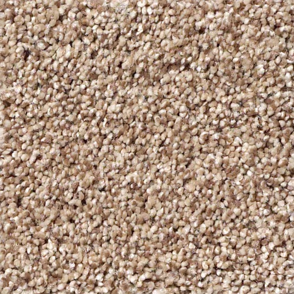 Shaw Foundations Take The Floor Tonal I Carpet in Sienna