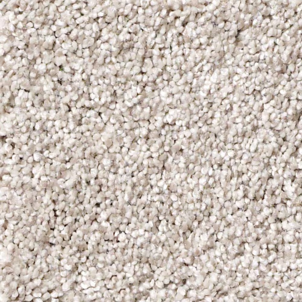 Shaw Foundations Take The Floor Tonal I Carpet in Statuary