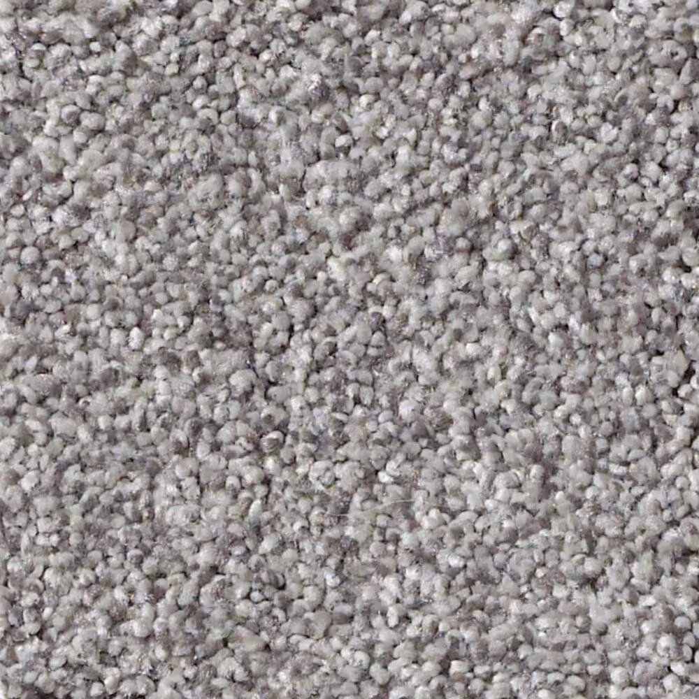 Shaw Foundations Take The Floor Tonal I Carpet in Stellar