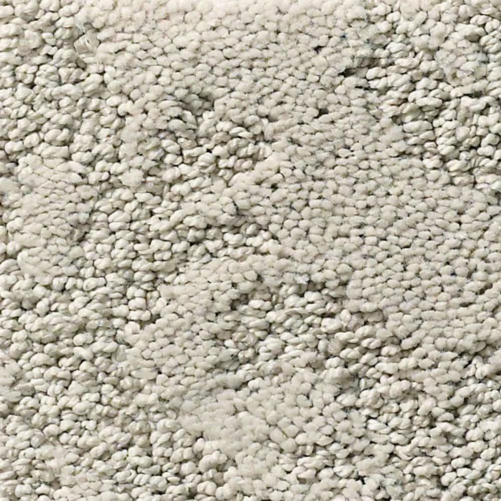 Anderson Tuftex Caress Chateau Fare Carpet in Mist