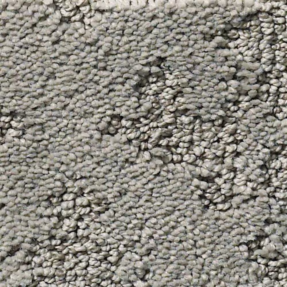Anderson Tuftex Caress by Shaw Chateau Fare Carpet in Shadow