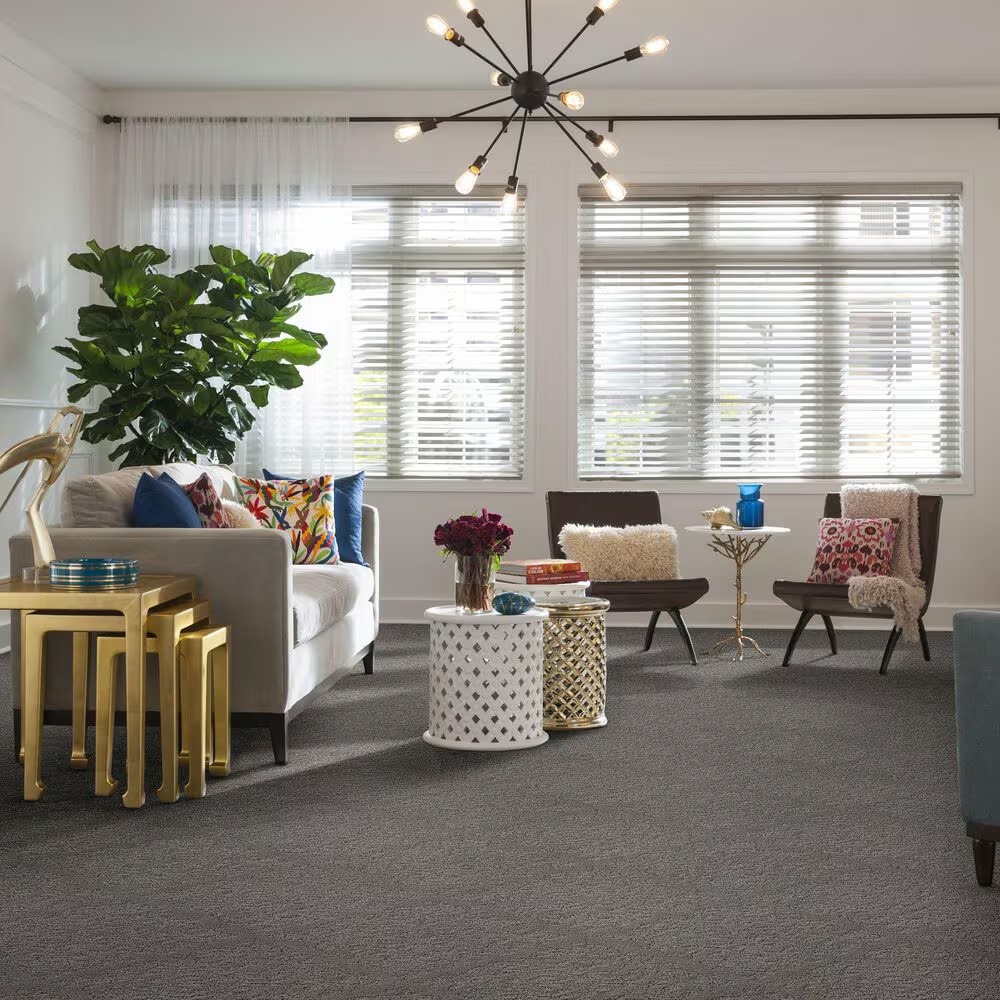 37578-anderson-tuftex-caress-by-shaw-chateau-fare-carpet-in-shadow-1.jpg