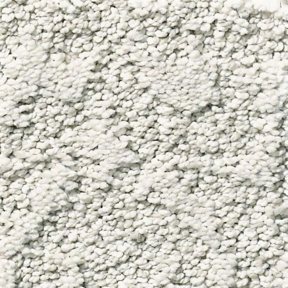 Anderson Tuftex Caress by Shaw Chateau Fare Carpet in Glacier Ice