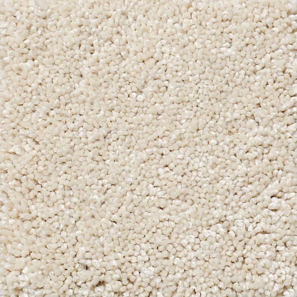 Shaw Foundations Take The Floor Texture Blue Carpet in Toasted