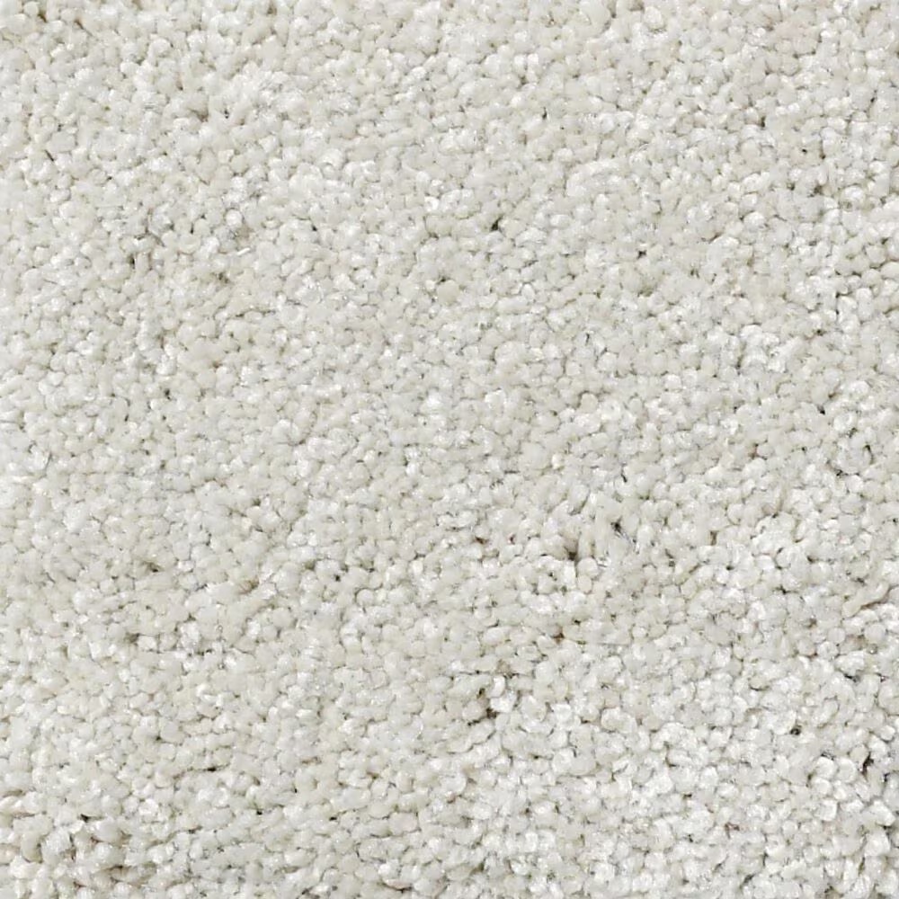 Shaw Foundations Take The Floor Texture Blue Carpet in Alpaca