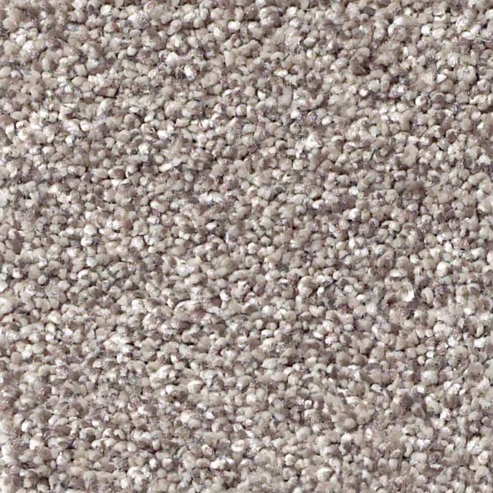 Shaw Foundations Take The Floor Tonal I Carpet in Tundra