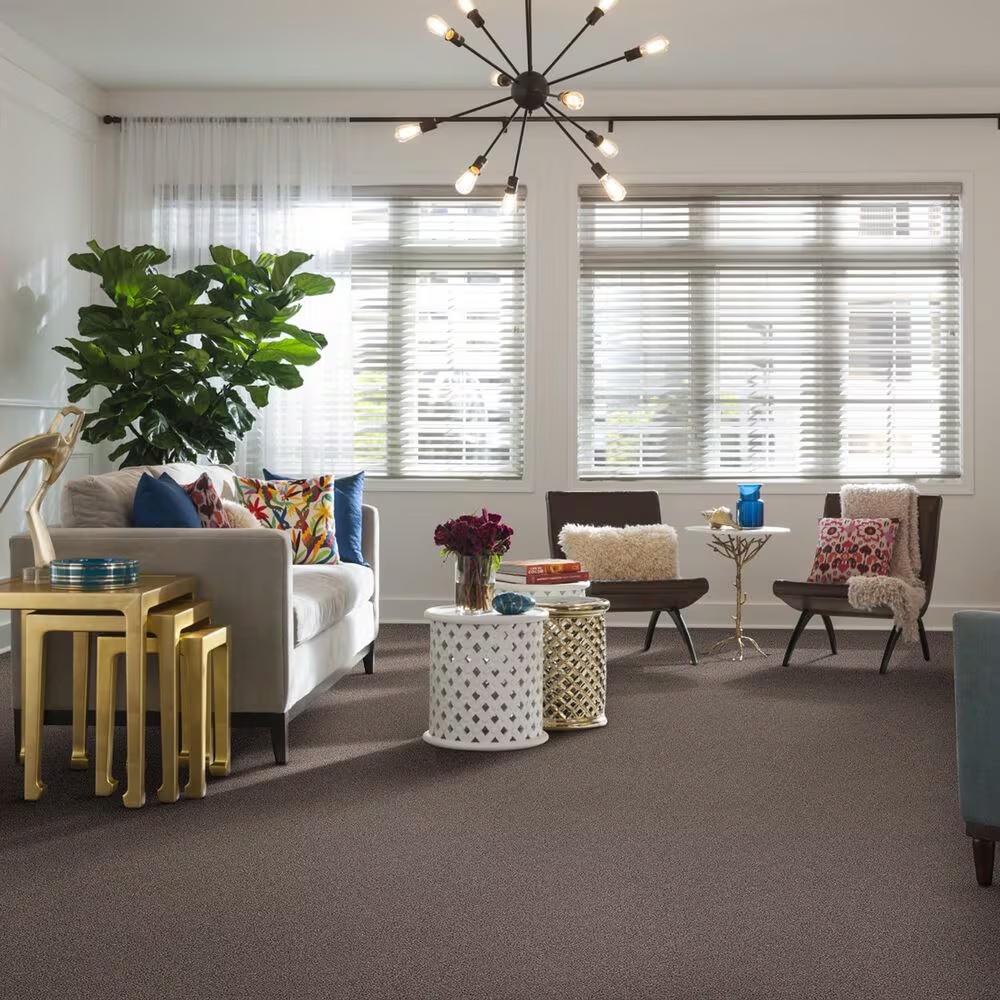 37585-shaw-foundations-take-the-floor-tonal-i-carpet-in-tundra-1.jpg