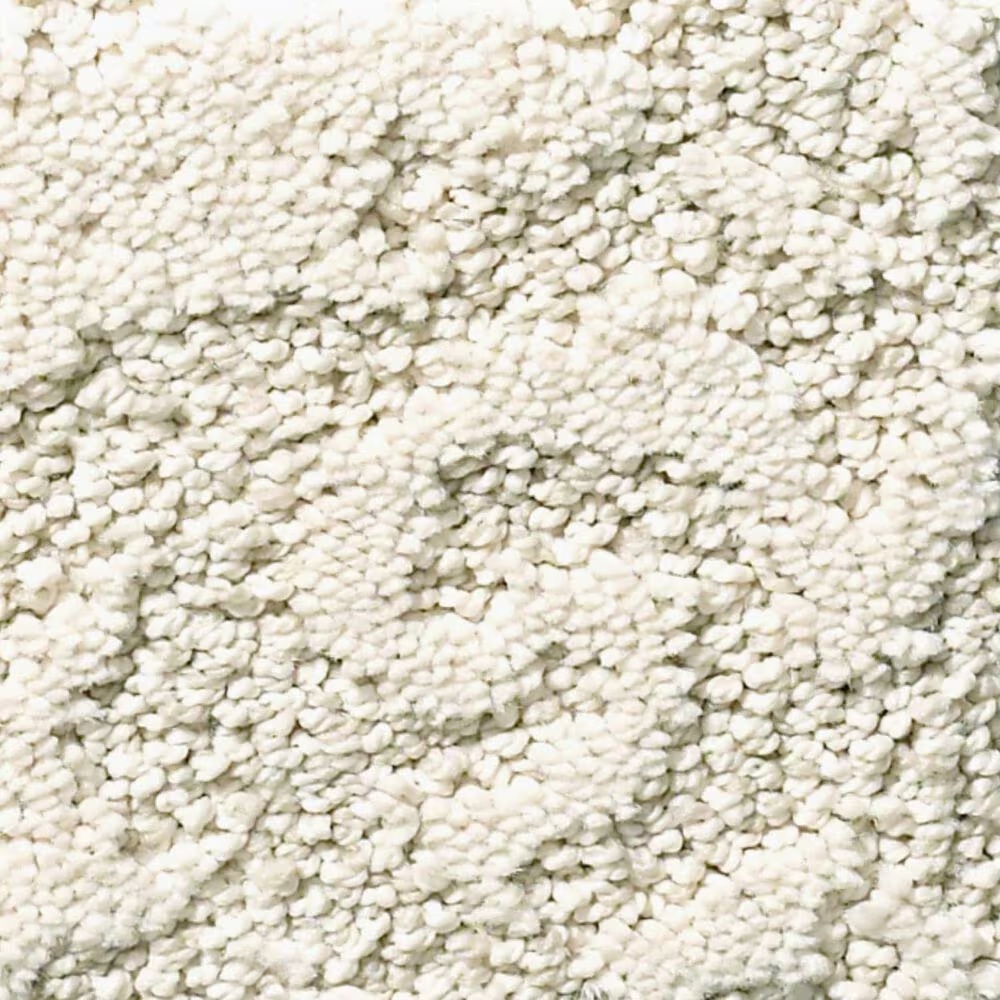 Anderson Tuftex CaressChateau Fare Carpet in Awaken
