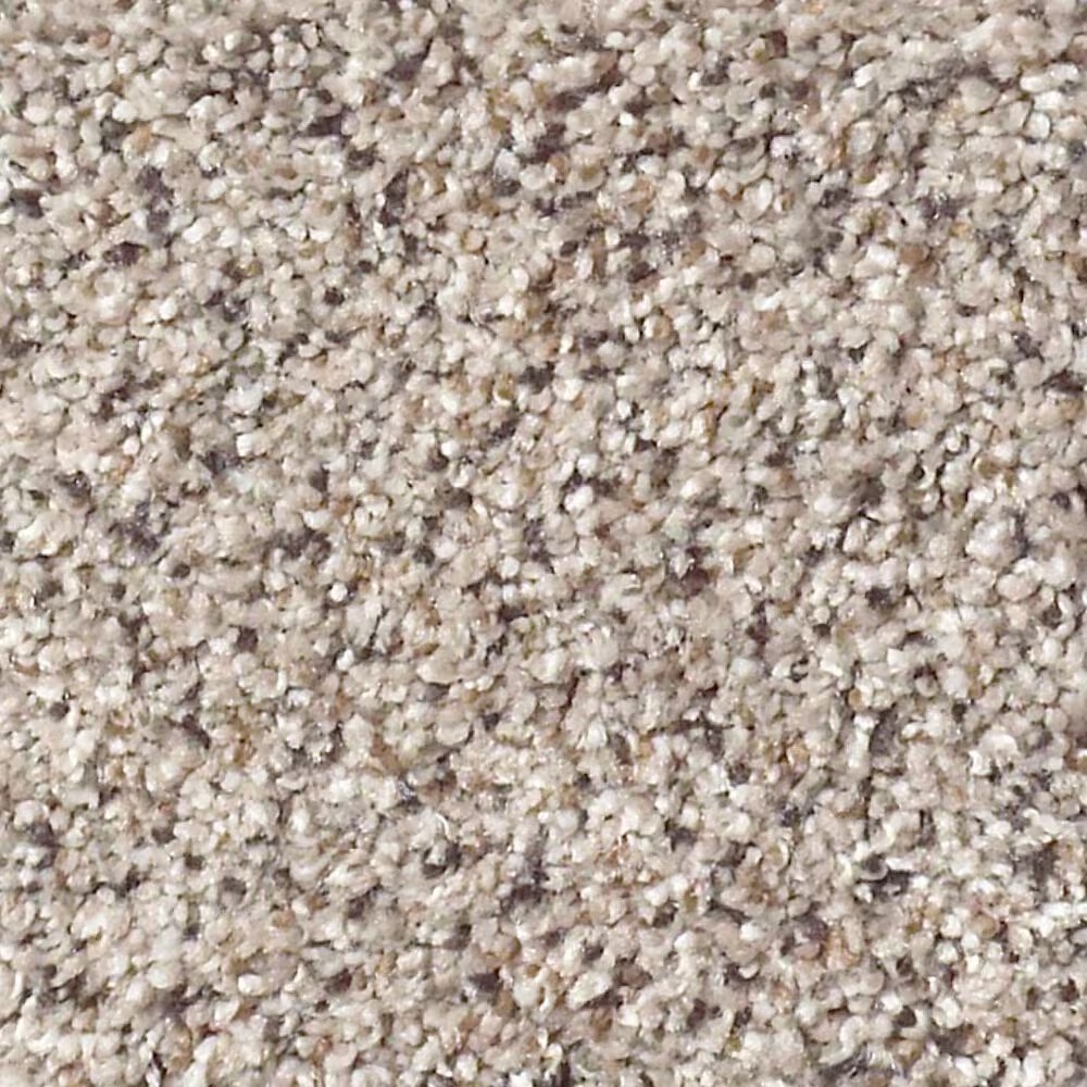 Shaw Foundations Take The Floor Accent II Carpet in Riverbed