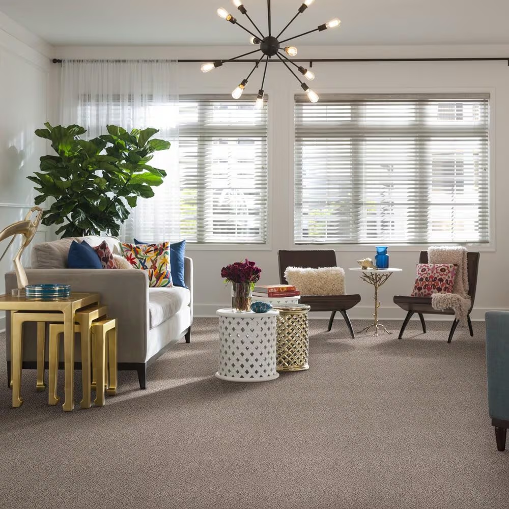 37593-shaw-foundations-take-the-floor-accent-ii-carpet-in-riverbed-1.jpg