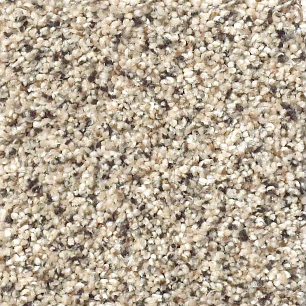 Shaw Foundations Take The Floor Accent II Carpet in Luna