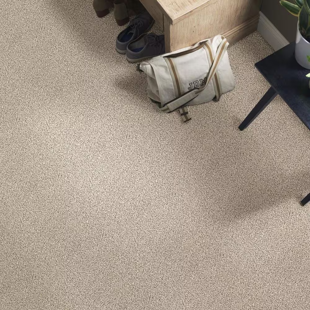 37594-shaw-foundations-take-the-floor-accent-ii-carpet-in-luna-1.jpg