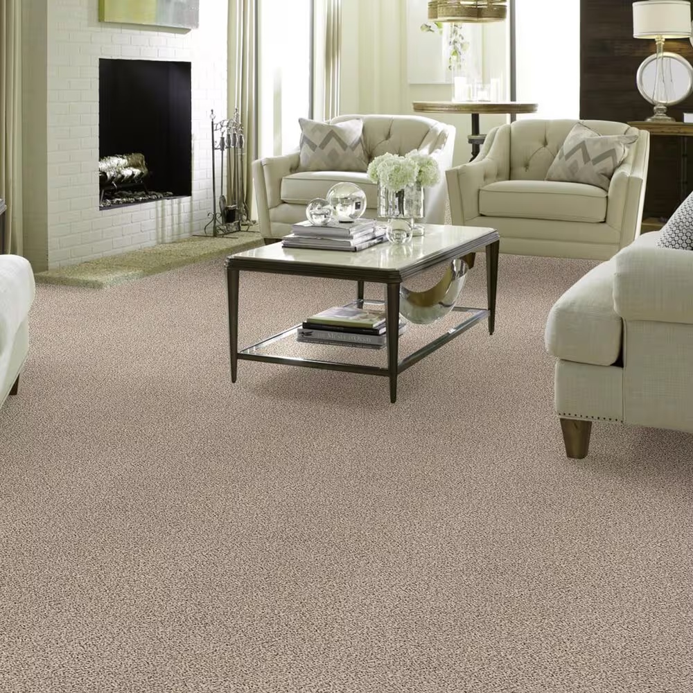 37594-shaw-foundations-take-the-floor-accent-ii-carpet-in-luna-1.jpg