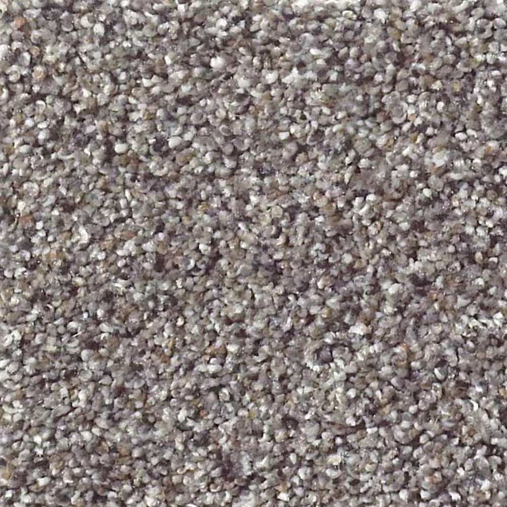 Shaw Foundations Take The Floor Accent II Carpet in Soapstone