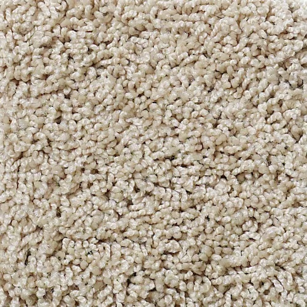 Shaw Foundations Take The Floor Twist I Carpet in Hickory