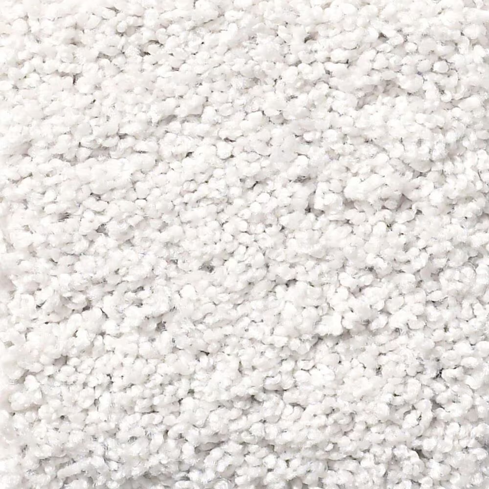 Shaw Foundations Take The Floor Twist I Carpet in Dove