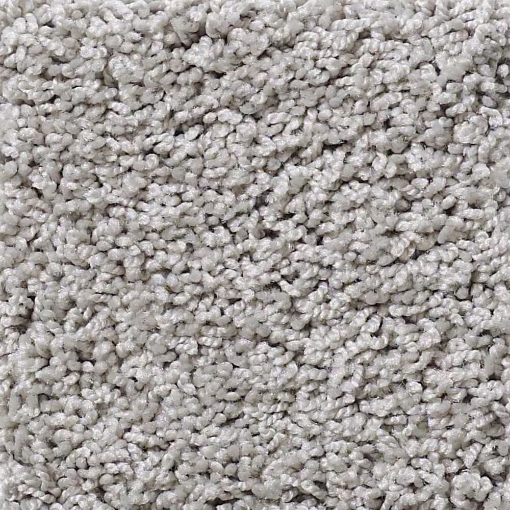 Shaw Foundations Take The Floor Twist I Carpet in Anchor