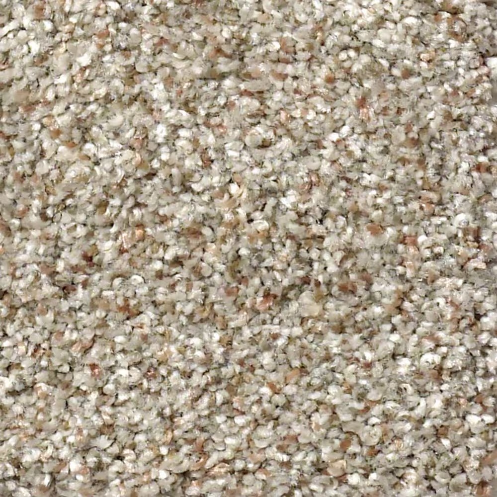 Shaw Find Your Comfort TA I Carpet in Long Bridge