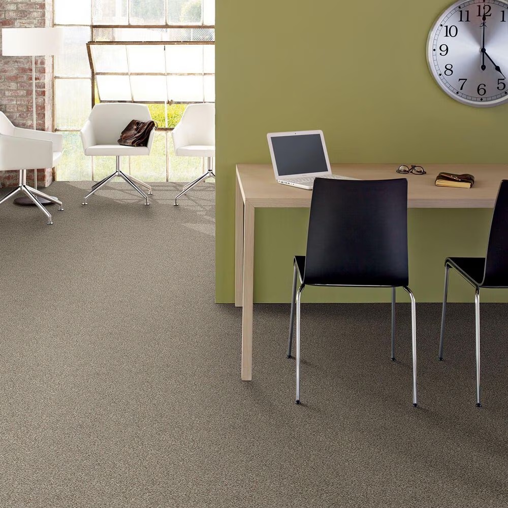 37601-shaw-find-your-comfort-ta-i-carpet-in-long-bridge-1.jpg