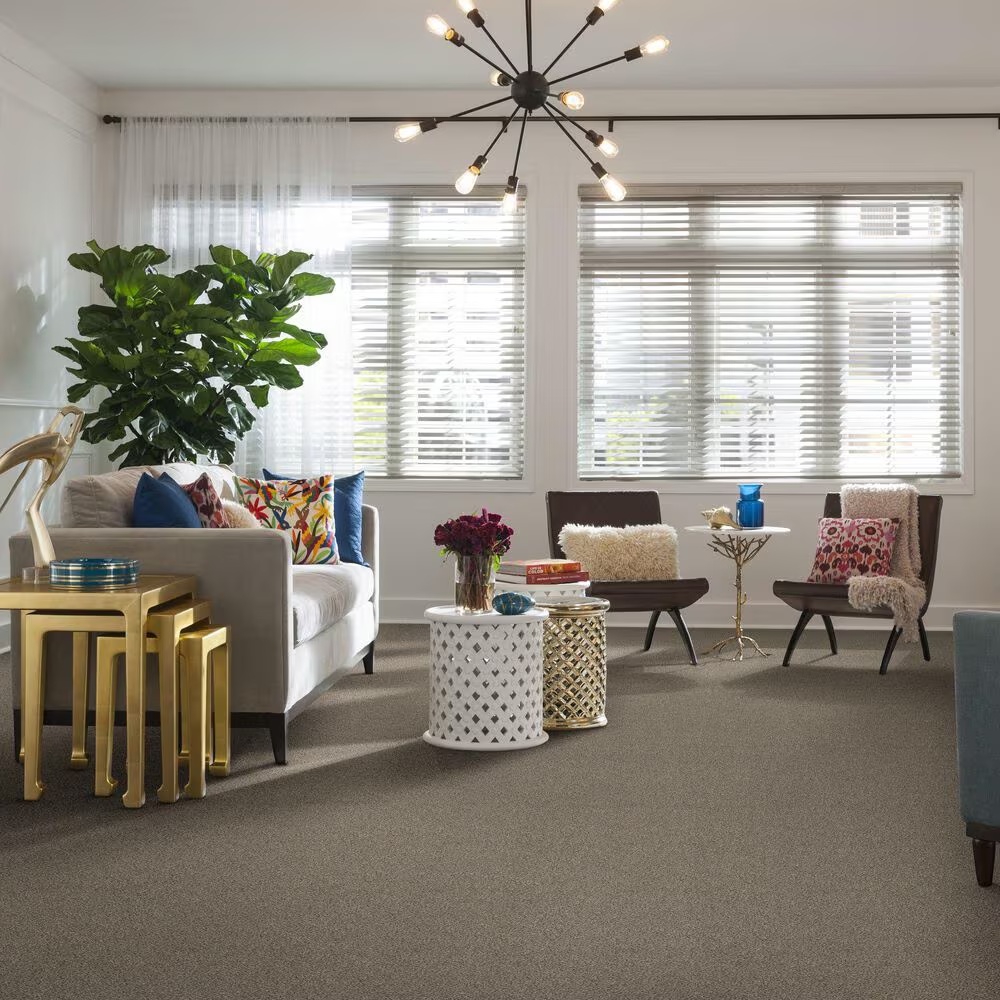 37601-shaw-find-your-comfort-ta-i-carpet-in-long-bridge-1.jpg