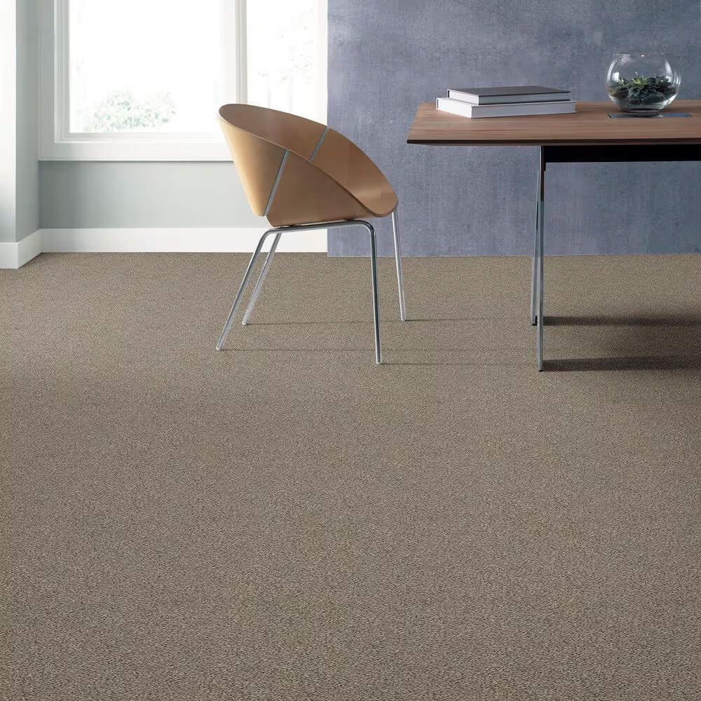 37601-shaw-find-your-comfort-ta-i-carpet-in-long-bridge-1.jpg
