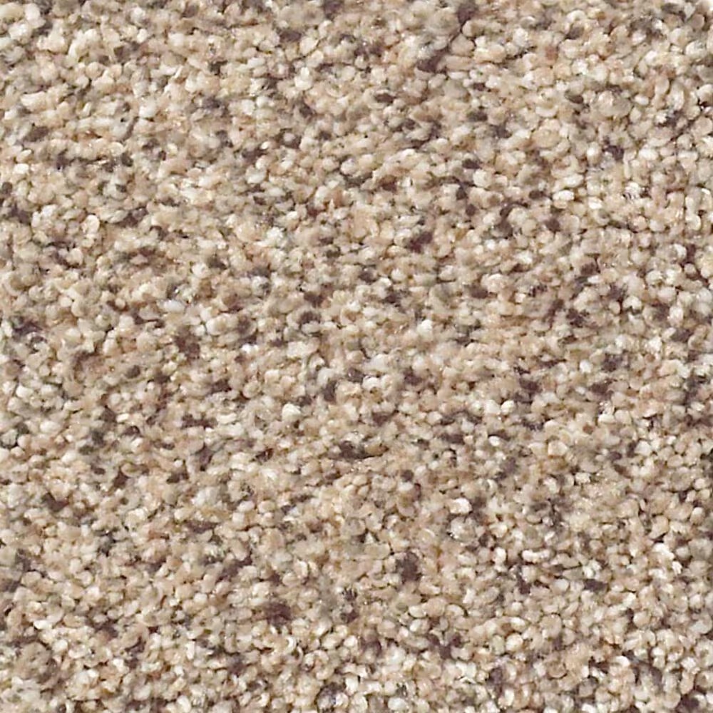 Shaw Foundations Take The Floor Accent II Carpet in Desert Sunrise