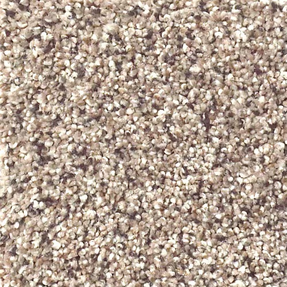 Shaw Foundations Take The Floor Accent II Carpet in Everest