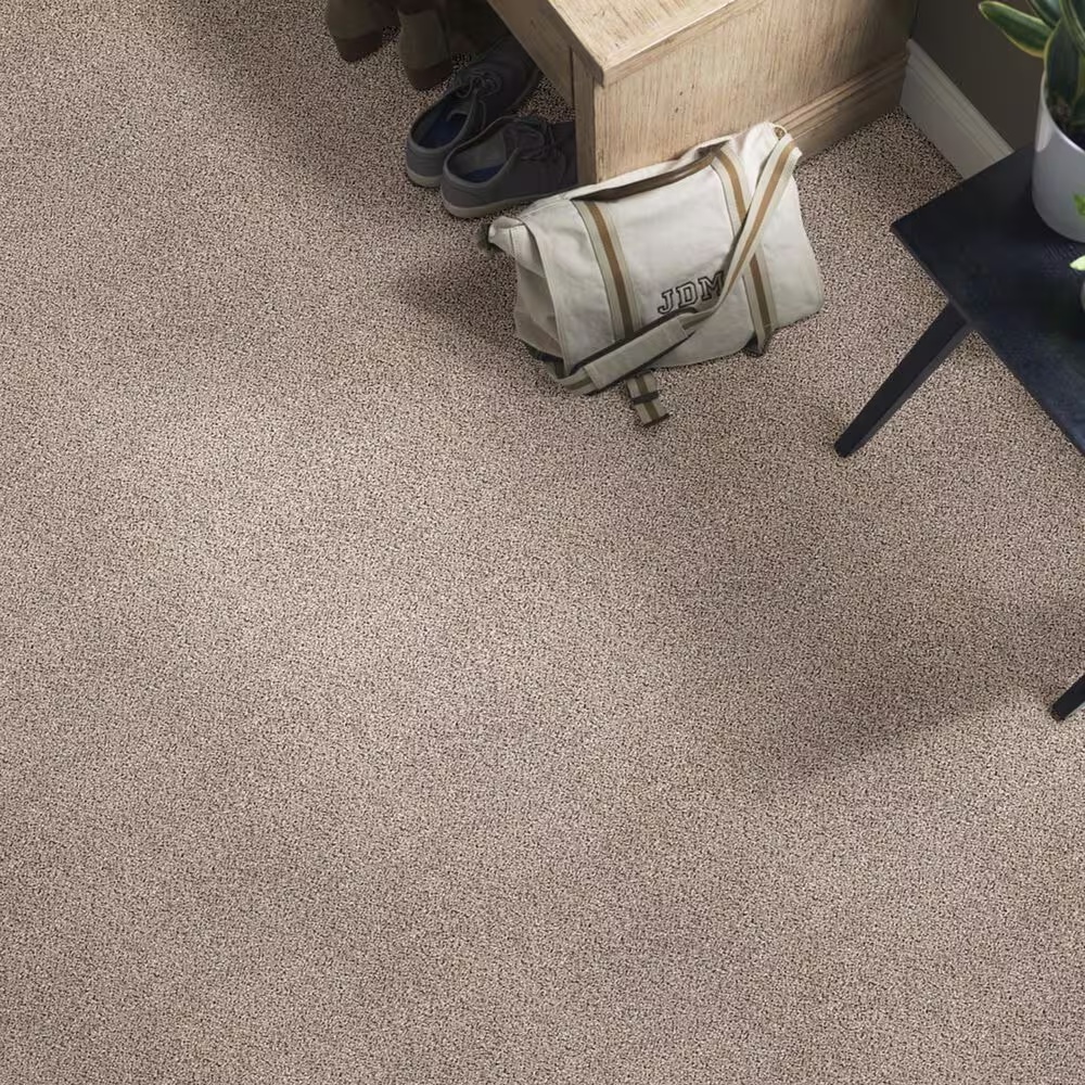 37603-shaw-foundations-take-the-floor-accent-ii-carpet-in-everest-1.jpg