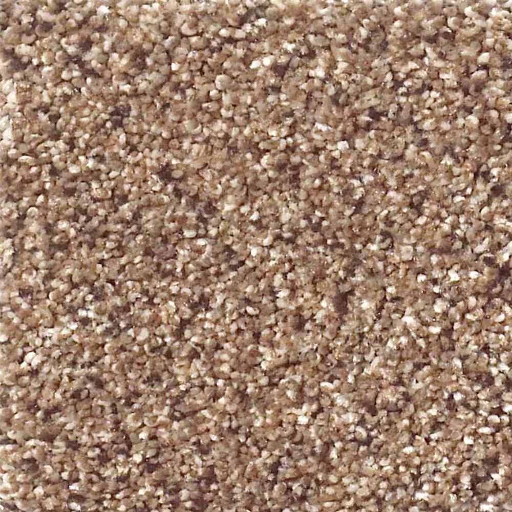 Shaw Foundations Take The Floor Accent II Carpet in Baltic Brown